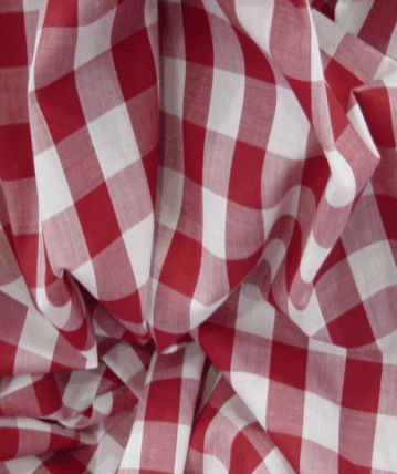 Gingham Fabric 1 Inch Check