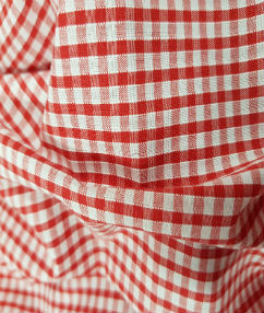 Gingham Check-1/8 Small Check | Red