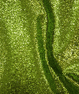 Glitter Fabric for Back Drops - Large Glitter