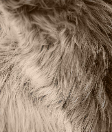 Soft Sheen Messy Fur (D)