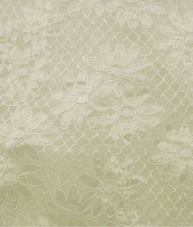 Ivory Flower and Trellis Stretch Lace