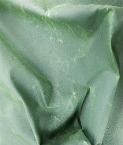 Waxed Fabric | Apple