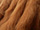 Fabric Color: Chestnut
