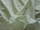 Fabric Color: Ivory (12)