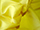 Fabric Color: Yellow