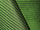 Fabric Color: Vineyard Green